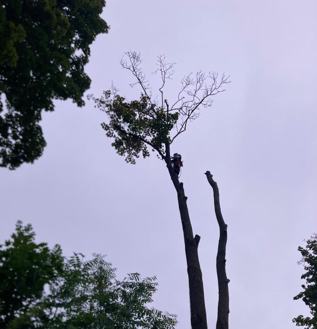 Havárijní situace – rychlý zásah