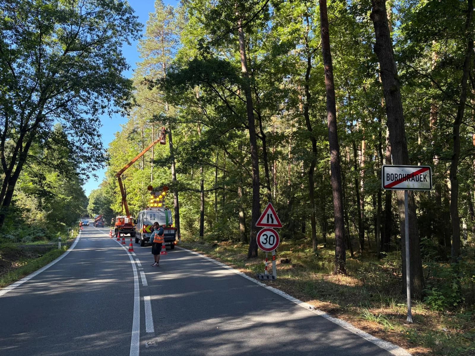 Havárijní kácení stromu