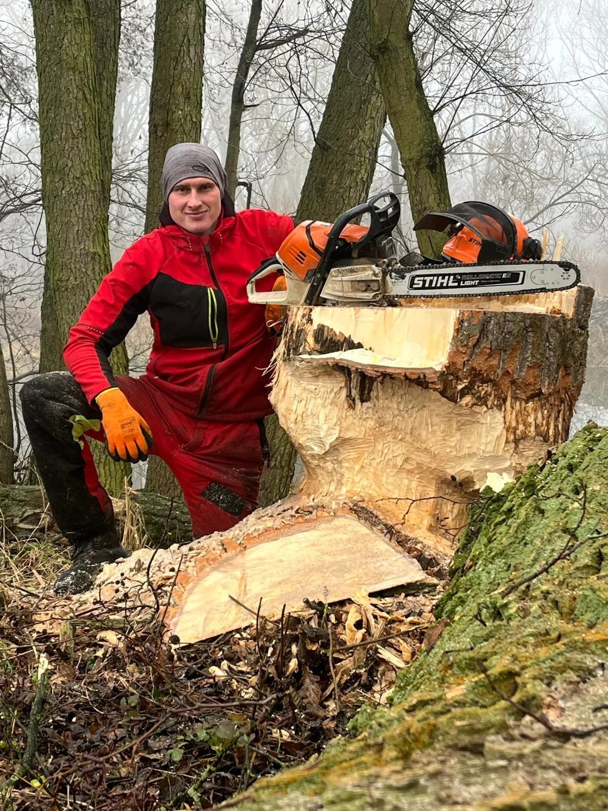 Arborista s pilou u poraženého stromu