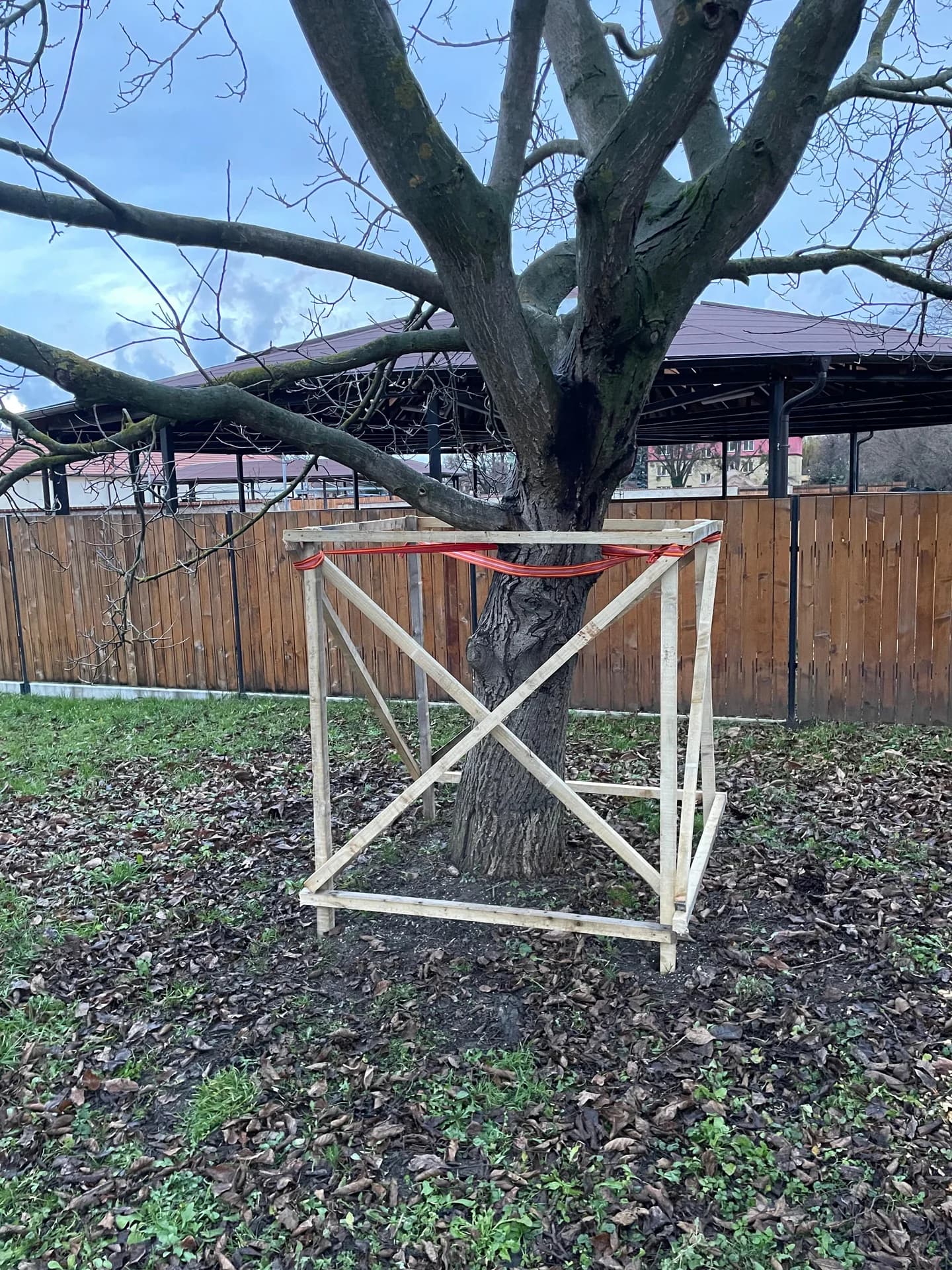 Ochrana kořenového systému stromu