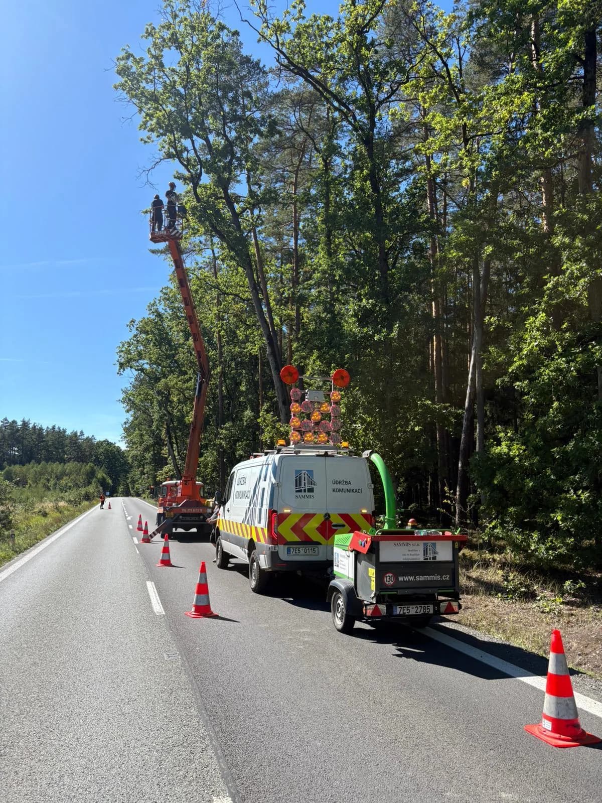 Stabilizační řez stromu