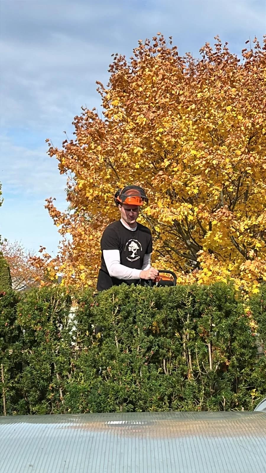 Správa a údržba zeleně pro SVJ