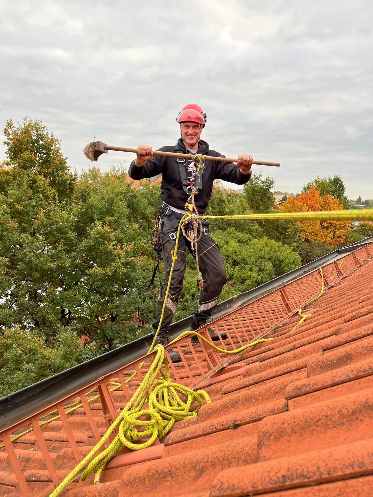 Zahrada po údržbě