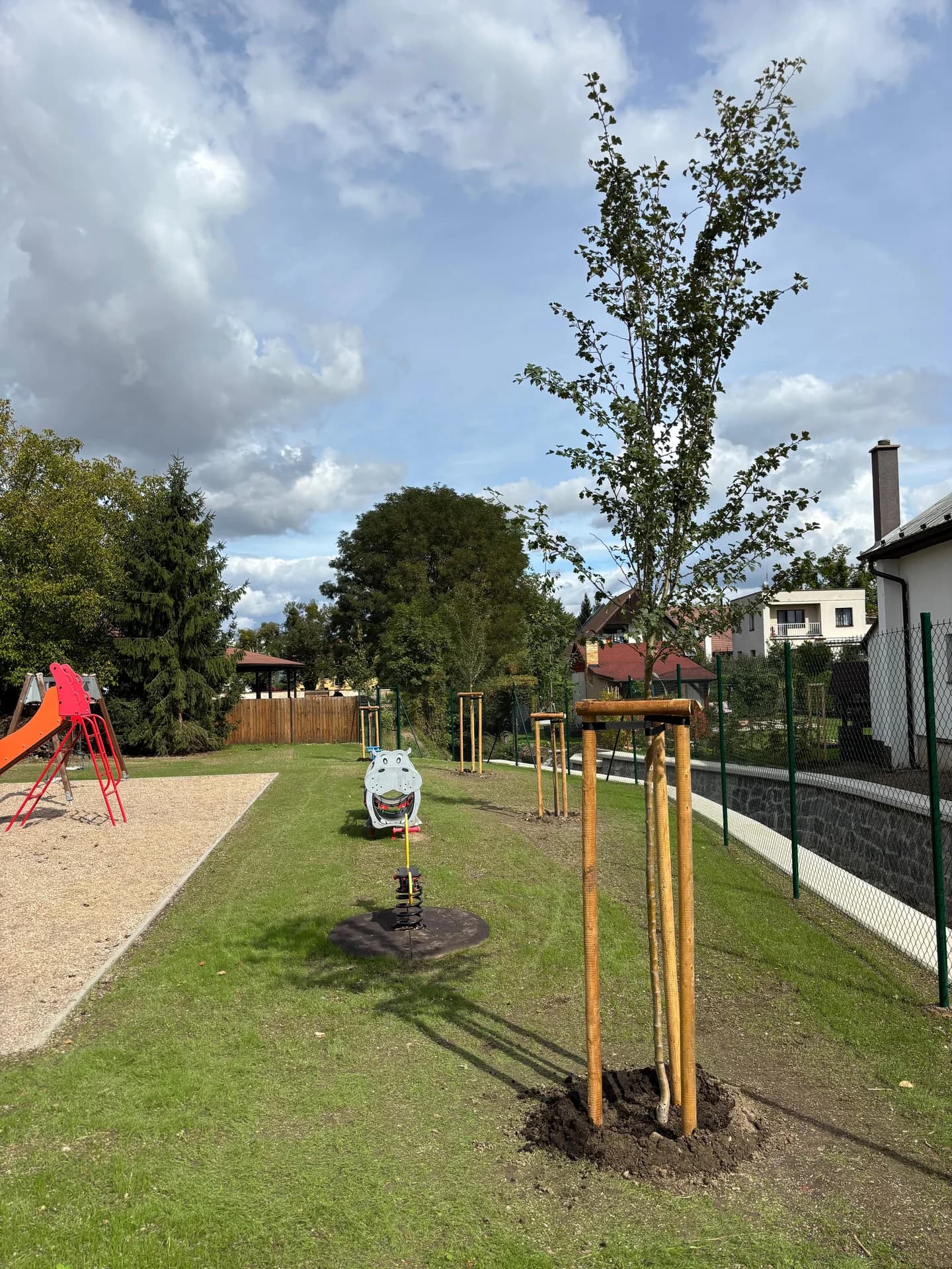 Nové stromy u hřiště – celkový pohled