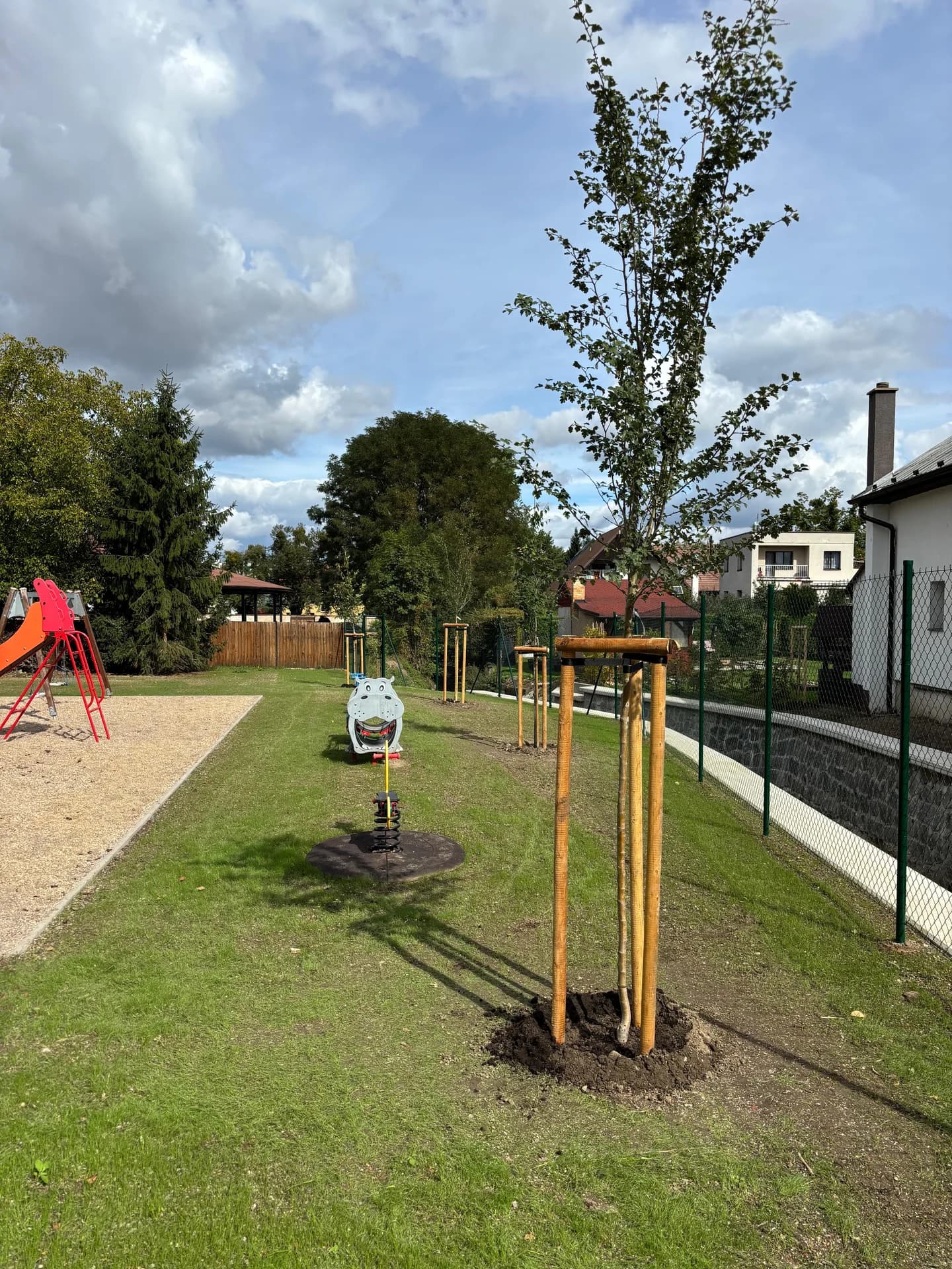 Výsadba břízy u hřiště – výsledek