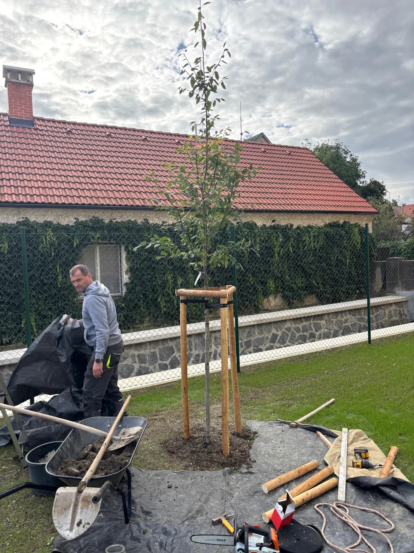 Pracovník při výsadbě stromu