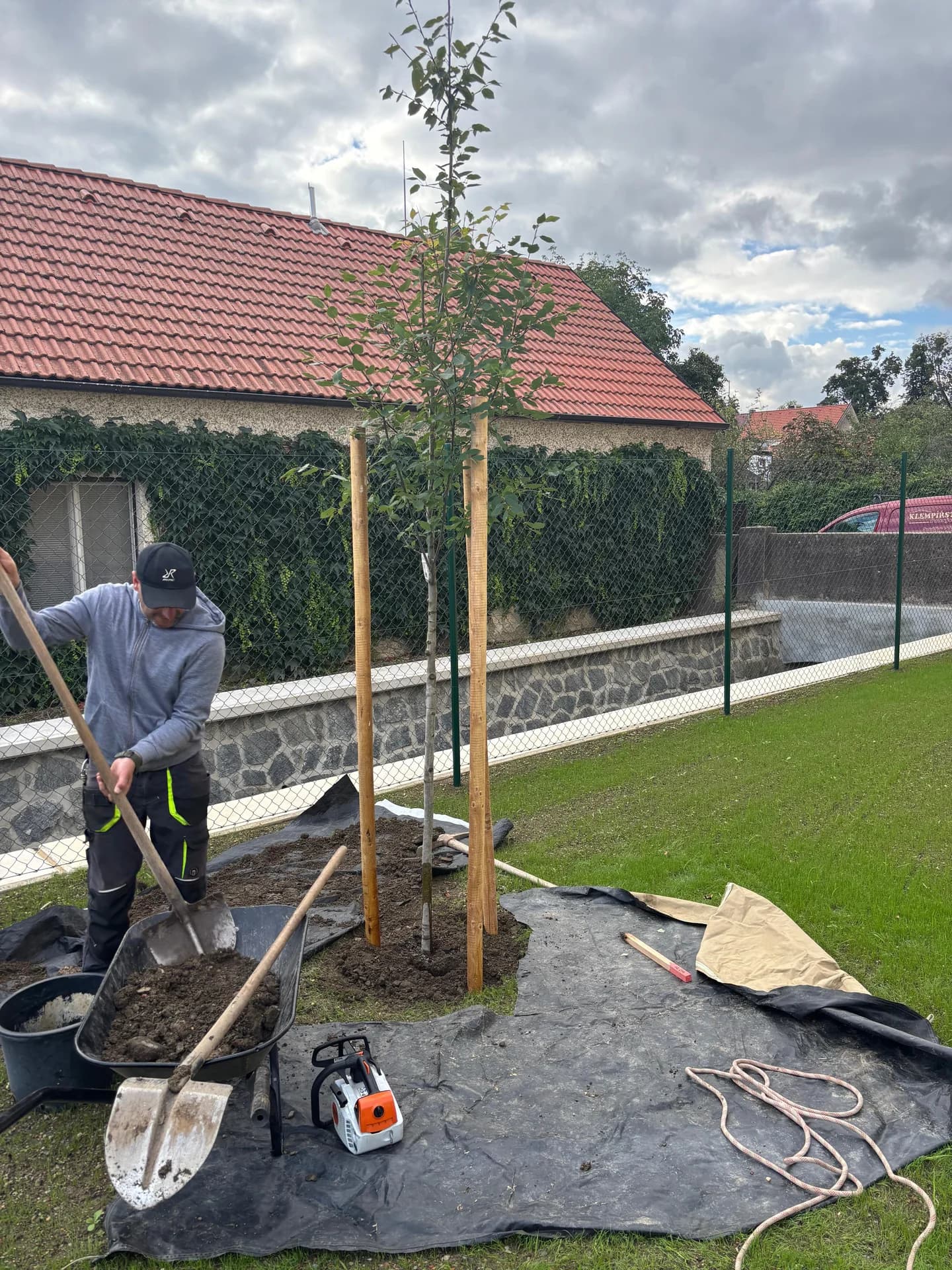 Výsadba stromu – zasypávání