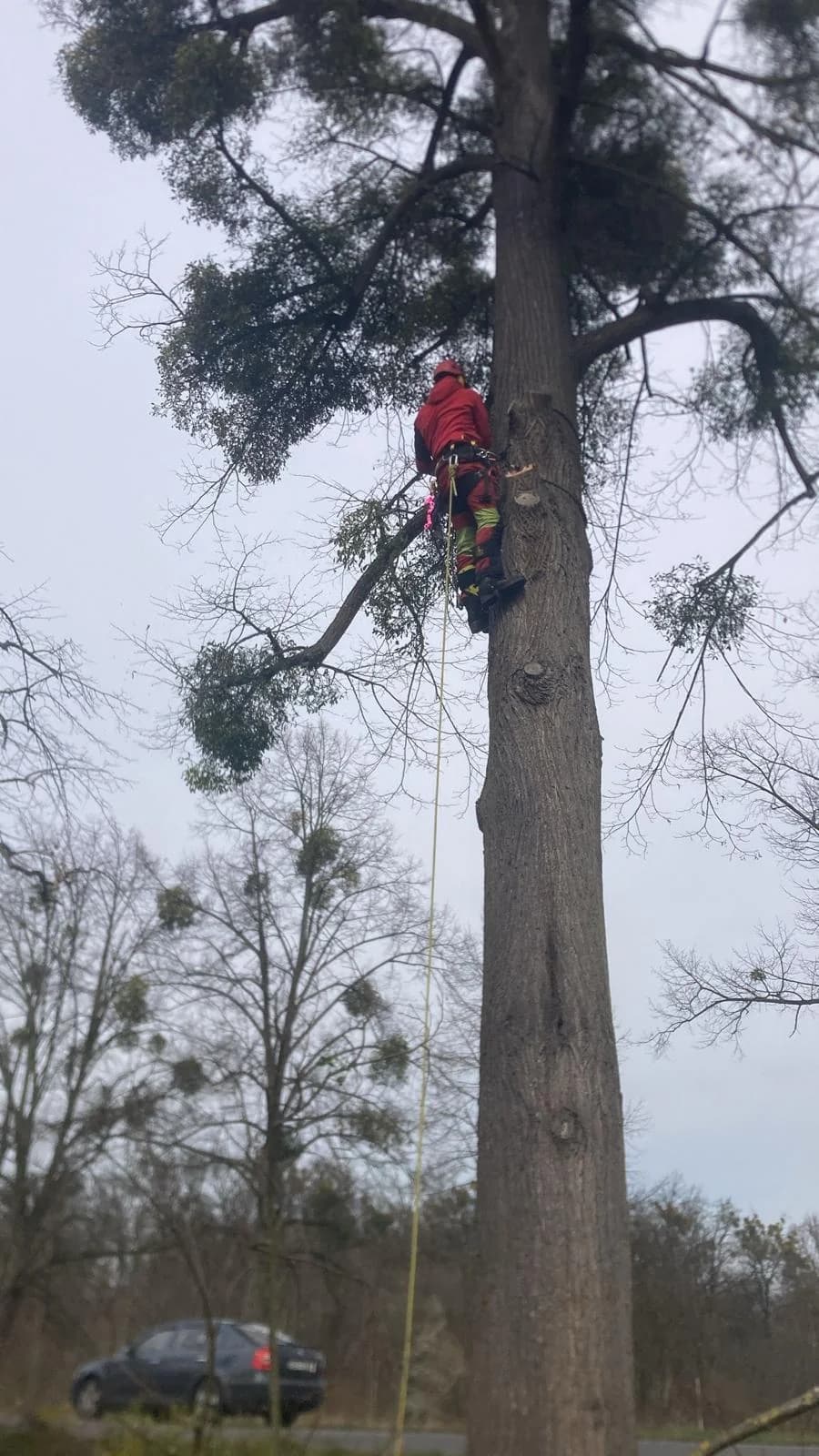 Výškové práce – lezecká technika